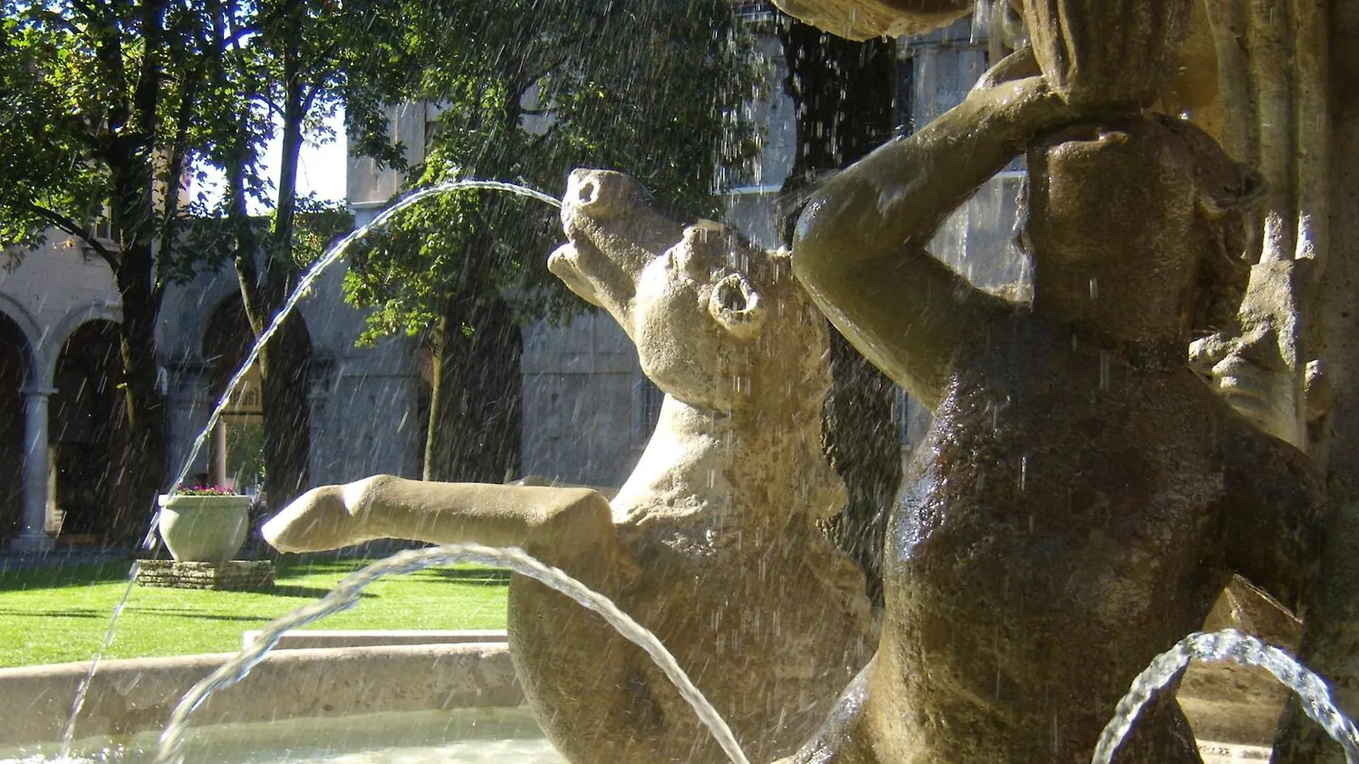 L'Ibiscus E Il Mare Daire Bergamo